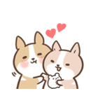 lovely corgi family（個別スタンプ：31）