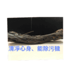 Chinese xain smell（個別スタンプ：7）