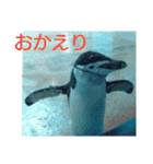 猫とペンギンの日常会話（個別スタンプ：22）