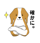 beagle's shintaro-2（個別スタンプ：4）