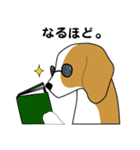 beagle's shintaro-2（個別スタンプ：5）