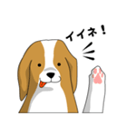 beagle's shintaro-2（個別スタンプ：6）