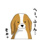 beagle's shintaro-2（個別スタンプ：7）