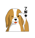 beagle's shintaro-2（個別スタンプ：9）