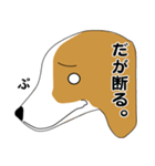 beagle's shintaro-2（個別スタンプ：10）