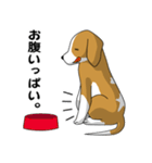 beagle's shintaro-2（個別スタンプ：13）