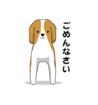 beagle's shintaro-2（個別スタンプ：17）