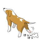 beagle's shintaro-2（個別スタンプ：20）