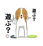 beagle's shintaro-2（個別スタンプ：23）