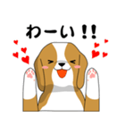 beagle's shintaro-2（個別スタンプ：27）