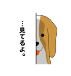 beagle's shintaro-2（個別スタンプ：30）