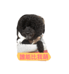 a bo is my name（個別スタンプ：20）