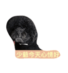 a bo is my name（個別スタンプ：37）