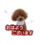 kswaii dog6（個別スタンプ：4）