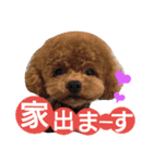 kswaii dog6（個別スタンプ：7）