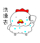 Blank Chicken（個別スタンプ：20）