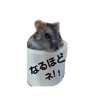 小動物達の日常（個別スタンプ：8）