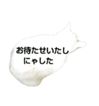 猫が言うことにゃ（個別スタンプ：17）