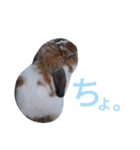 かなちゃん with C（個別スタンプ：15）