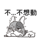 Ha DOG in Black（個別スタンプ：14）