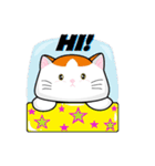 CatsSoCool（個別スタンプ：1）