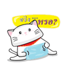 CatsSoCool（個別スタンプ：17）