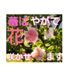 with nature picture stanp  no. two（個別スタンプ：11）