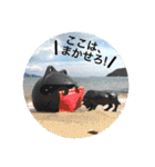 浮球かえる（個別スタンプ：5）