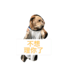 yellow little dog's day（個別スタンプ：6）