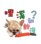 Ha je gold French Bulldog 2（個別スタンプ：25）