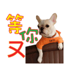 Ha je gold French Bulldog 2（個別スタンプ：26）