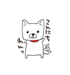 白犬シロちゃん（個別スタンプ：1）
