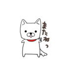 白犬シロちゃん（個別スタンプ：2）