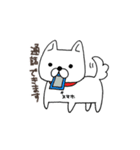白犬シロちゃん（個別スタンプ：17）