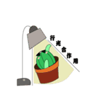 Cactus with sunglasses.（個別スタンプ：11）