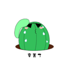 Cactus with sunglasses.（個別スタンプ：38）