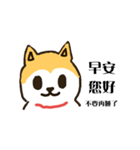 hello I'm a dog wang wang.（個別スタンプ：1）