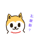 hello I'm a dog wang wang.（個別スタンプ：3）