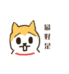 hello I'm a dog wang wang.（個別スタンプ：4）