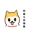 hello I'm a dog wang wang.（個別スタンプ：6）