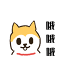 hello I'm a dog wang wang.（個別スタンプ：7）