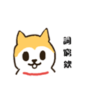 hello I'm a dog wang wang.（個別スタンプ：19）