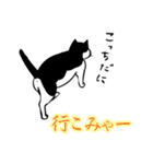 名古屋弁の猫（個別スタンプ：3）
