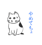 名古屋弁の猫（個別スタンプ：5）