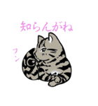 名古屋弁の猫（個別スタンプ：11）
