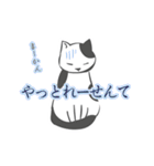 名古屋弁の猫（個別スタンプ：15）