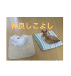 サクラキの日常（個別スタンプ：7）