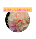 お花でお返事（個別スタンプ：7）