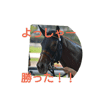 Association of horse（個別スタンプ：2）