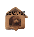 そら君スタンプ（個別スタンプ：3）